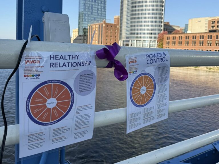 Power and Control Wheel and Healthhy Relationship wheel at the Blue Bridge