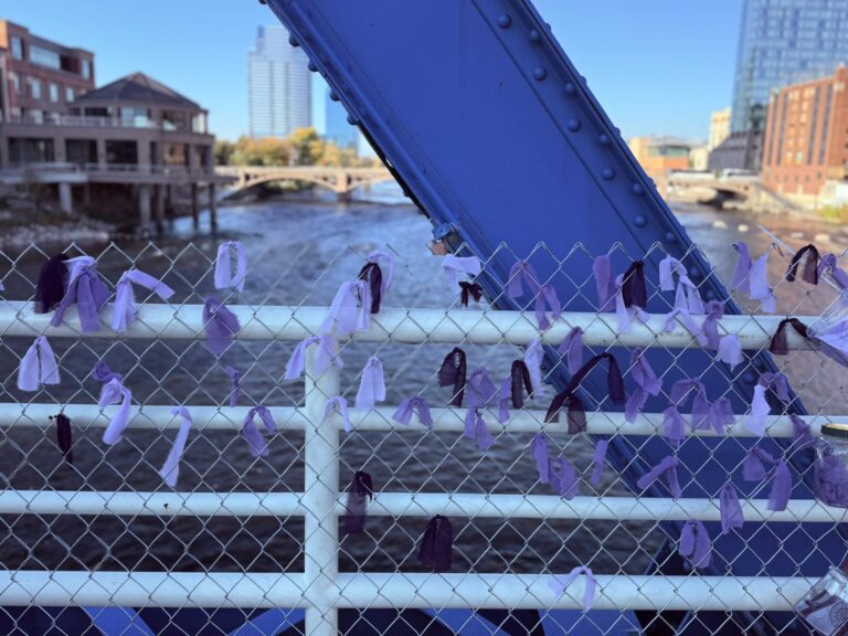 Purple Ribbons hanging on Grand Rapids Blue Bridge for Domestic Violence Awareness Month